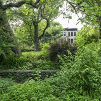 MJM north garden, looking west toward Jumel Terrace